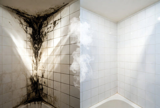 Black Mold in Bathroom? Here's How to Kill It Permanently Without Bleach (Proven Method)